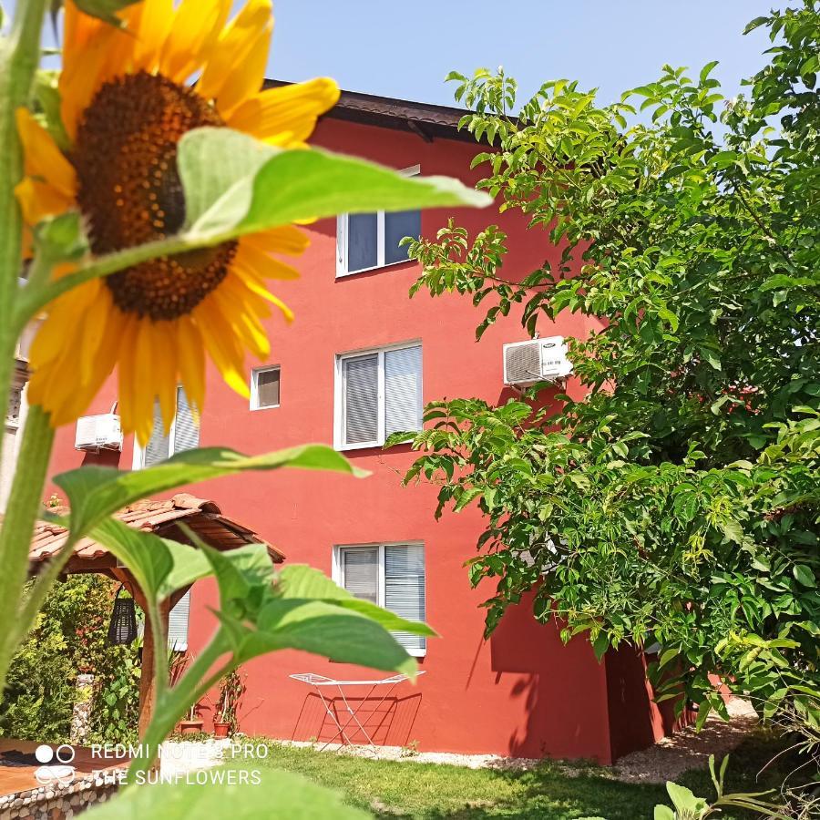 Guest House Sunflowers Pomorie Exterior photo