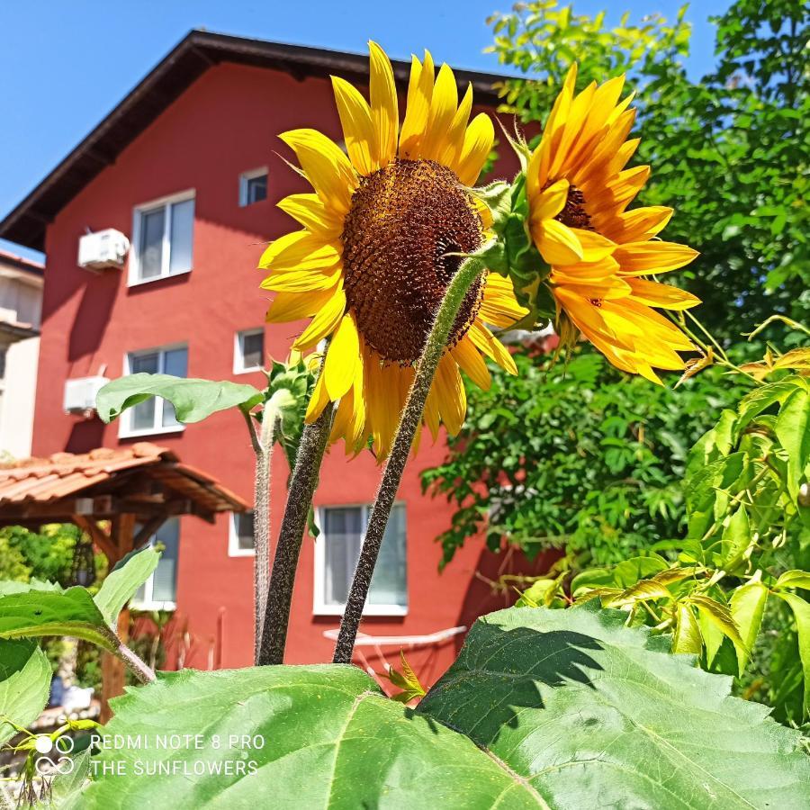 Guest House Sunflowers Pomorie Exterior photo